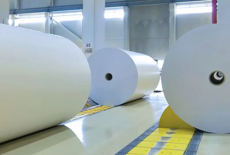Pulp and paper industry